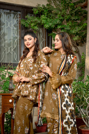 Zimal Luxury 3 Piece Suit D-11 - MURASHE