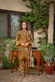 Zimal Luxury 3 Piece Suit D-11 - MURASHE